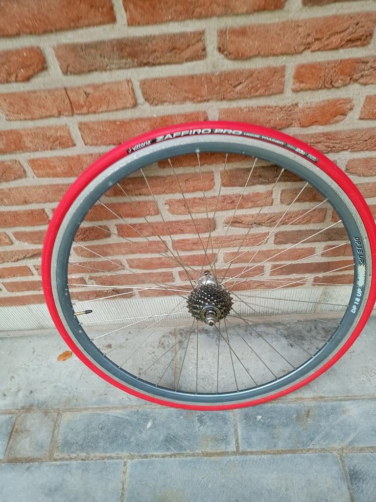 Fietsachterwiel voor hometrainer, Fietsen en Brommers, Ophalen