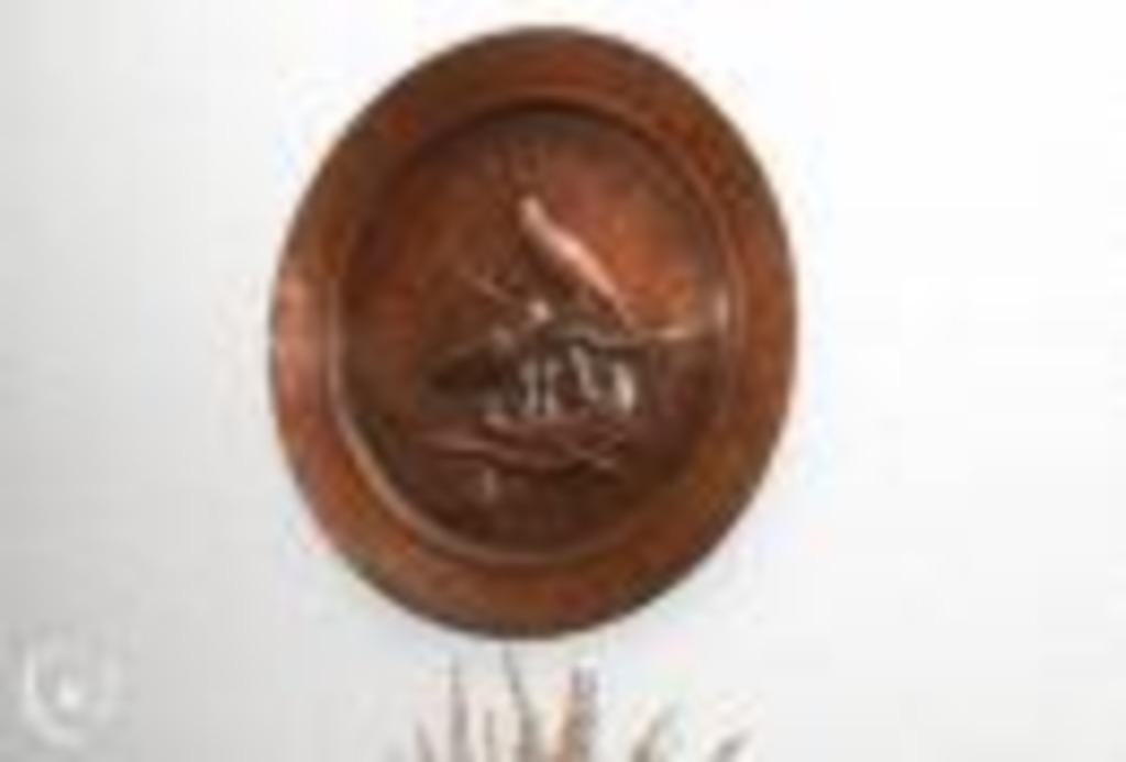 2 koperen decoratieschilden met vogelnestje, Ophalen