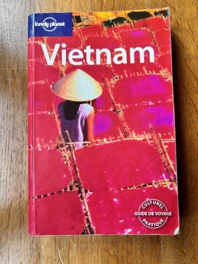 Vietnam - Guide Lonely Planet, Livres, Guides touristiques, Enlèvement ou Envoi, Asie, Guide ou Livre de voyage, Lonely Planet