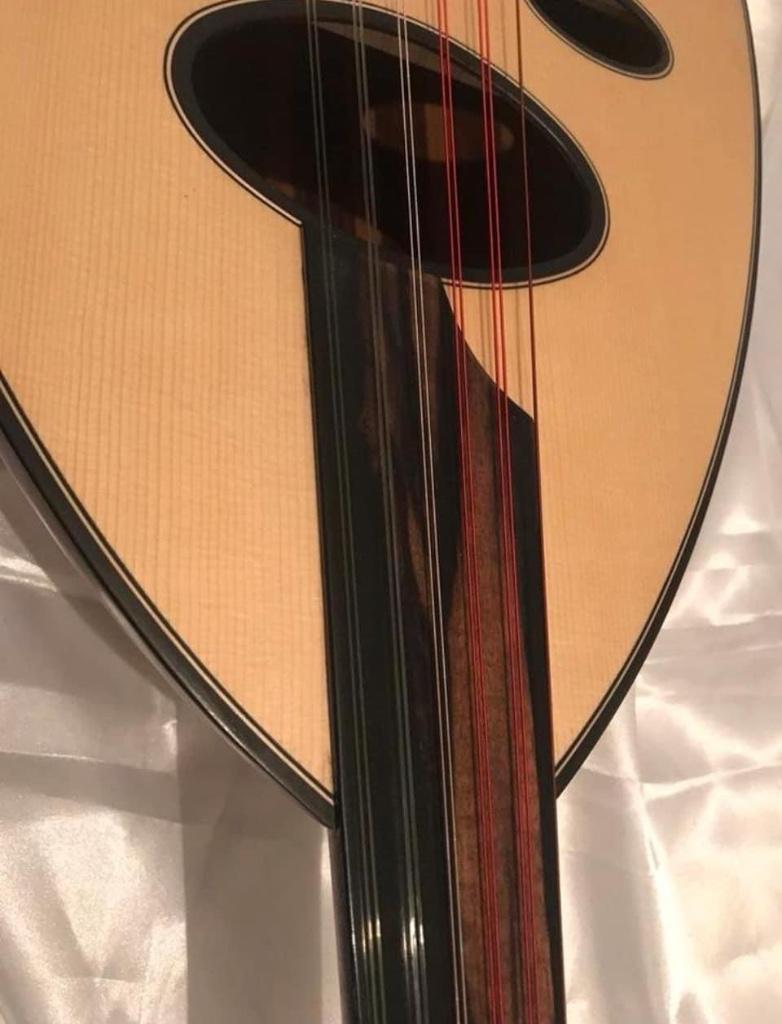 Arabic oud, high class, Musique & Instruments, Enlèvement ou Envoi, Neuf, Guitare classique ou espagnole, Avec valise