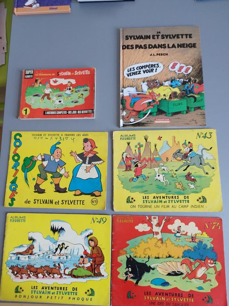 Sylvain et Sylvette divers titres, Boeken, Stripverhalen, Gelezen, Eén stripboek, Ophalen of Verzenden