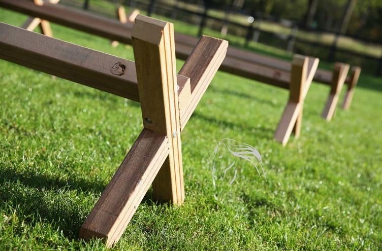 Cavaletti, Springbalk, Hindernis, Training paard, Balk, Pâturage, 4 chevaux ou poneys ou plus