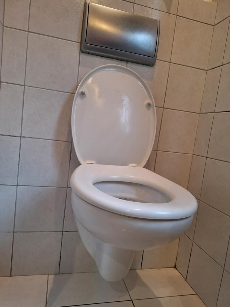 Toilet, Ophalen, Zo goed als nieuw, Toilet