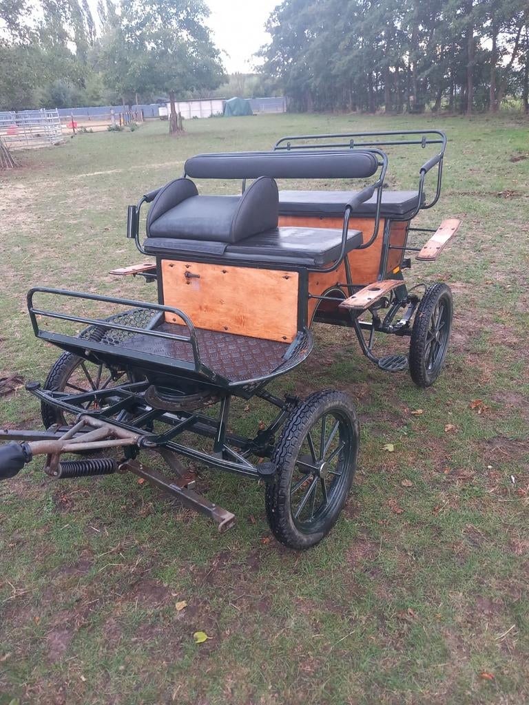 Ponykoets (shetty tot bpony)