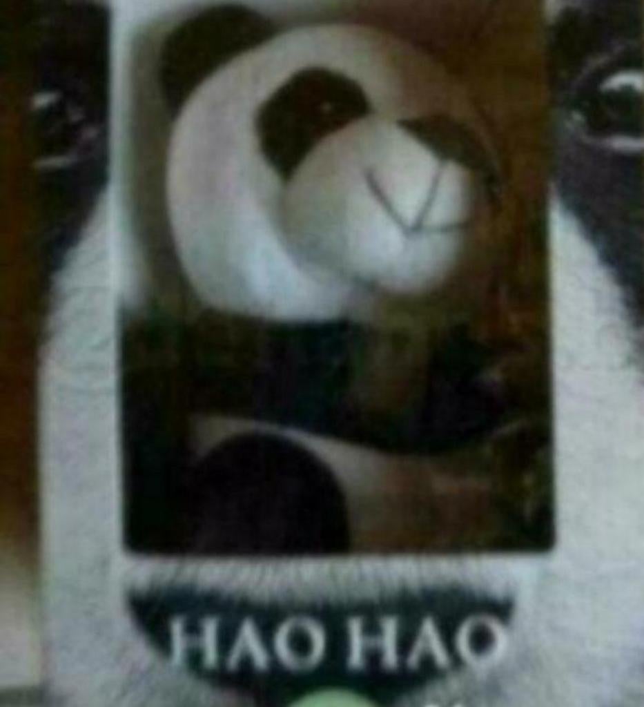 Hao Hao, Pairi Daiza knuffel, Enlèvement ou Envoi, Neuf
