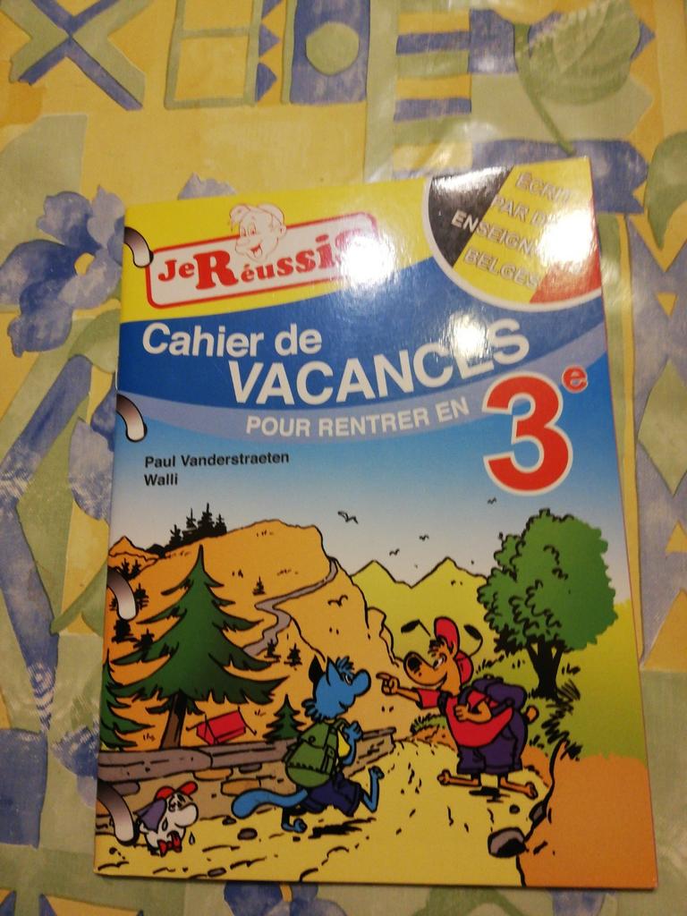 Cahier de vacances pour rentrer en 3e primaire., Livres, Enlèvement ou Envoi, Comme neuf, Primaire