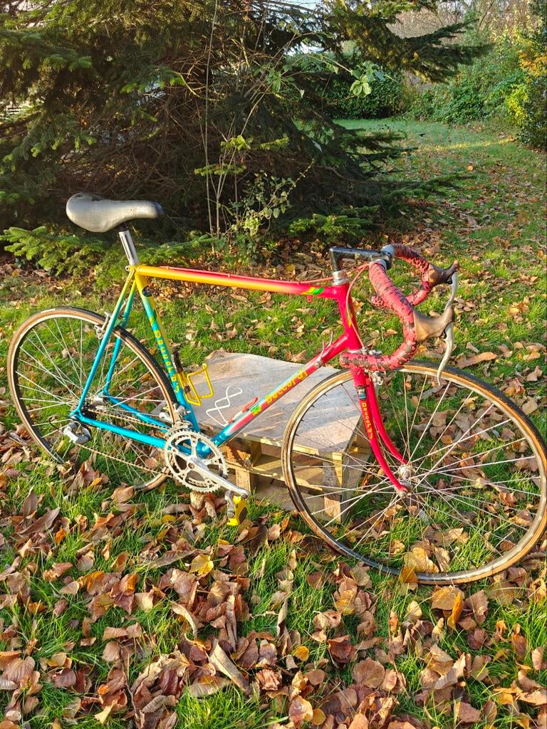 1989 Daccordi Original koersfiets, Ophalen