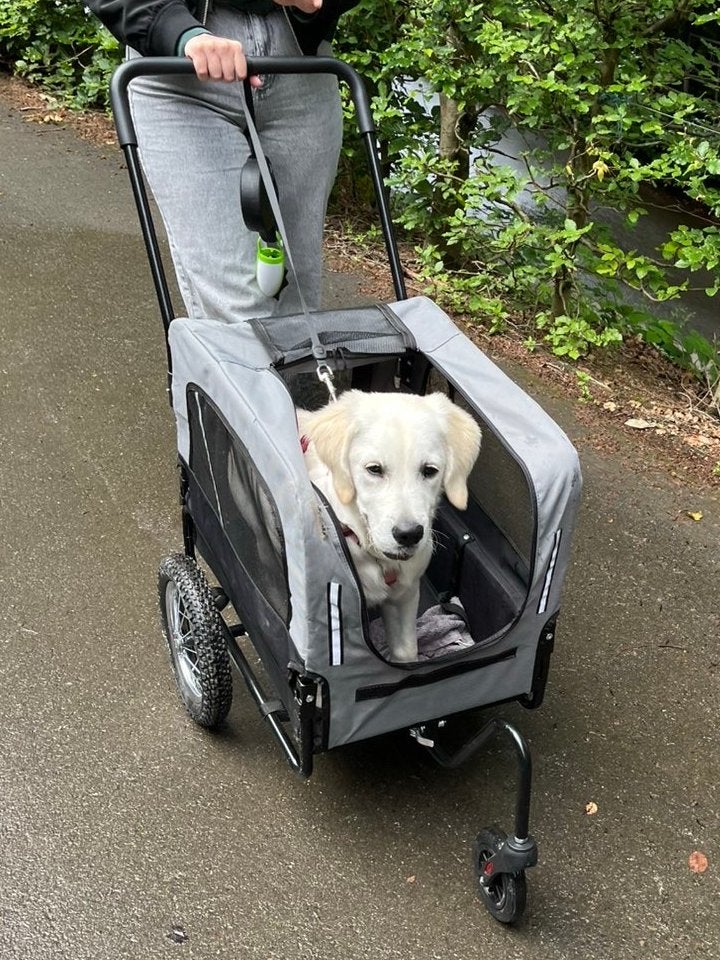 Honden buggy, Dieren en Toebehoren, Ophalen, Zo goed als nieuw