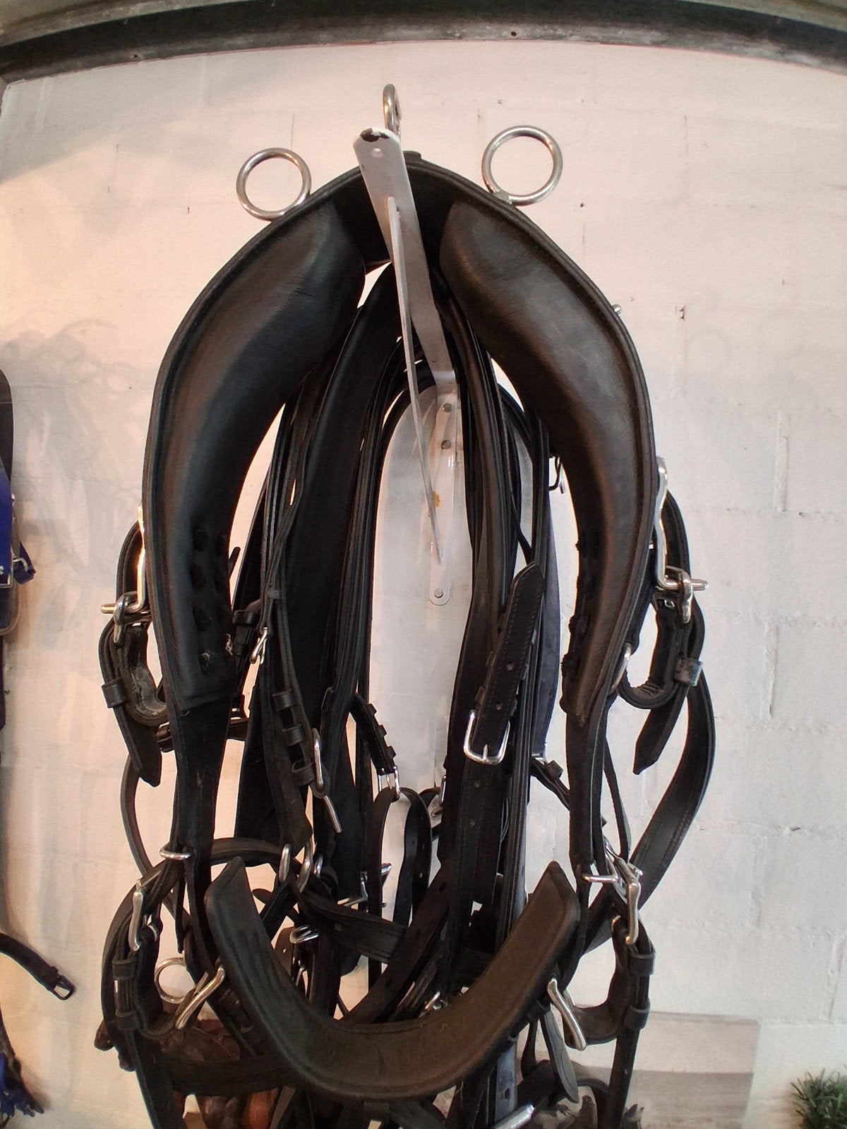 Luxe nieuw leder enkelspan tuigage ideal., Animaux & Accessoires, Chevaux & Poneys | Brides & Harnachement, Enlèvement