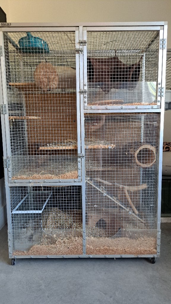 Knaagdierenkooi, Animaux & Accessoires, Rongeurs & Lapins | Cages & Clapiers, 90 cm ou plus, 75 à 110 cm, Cage, Enlèvement