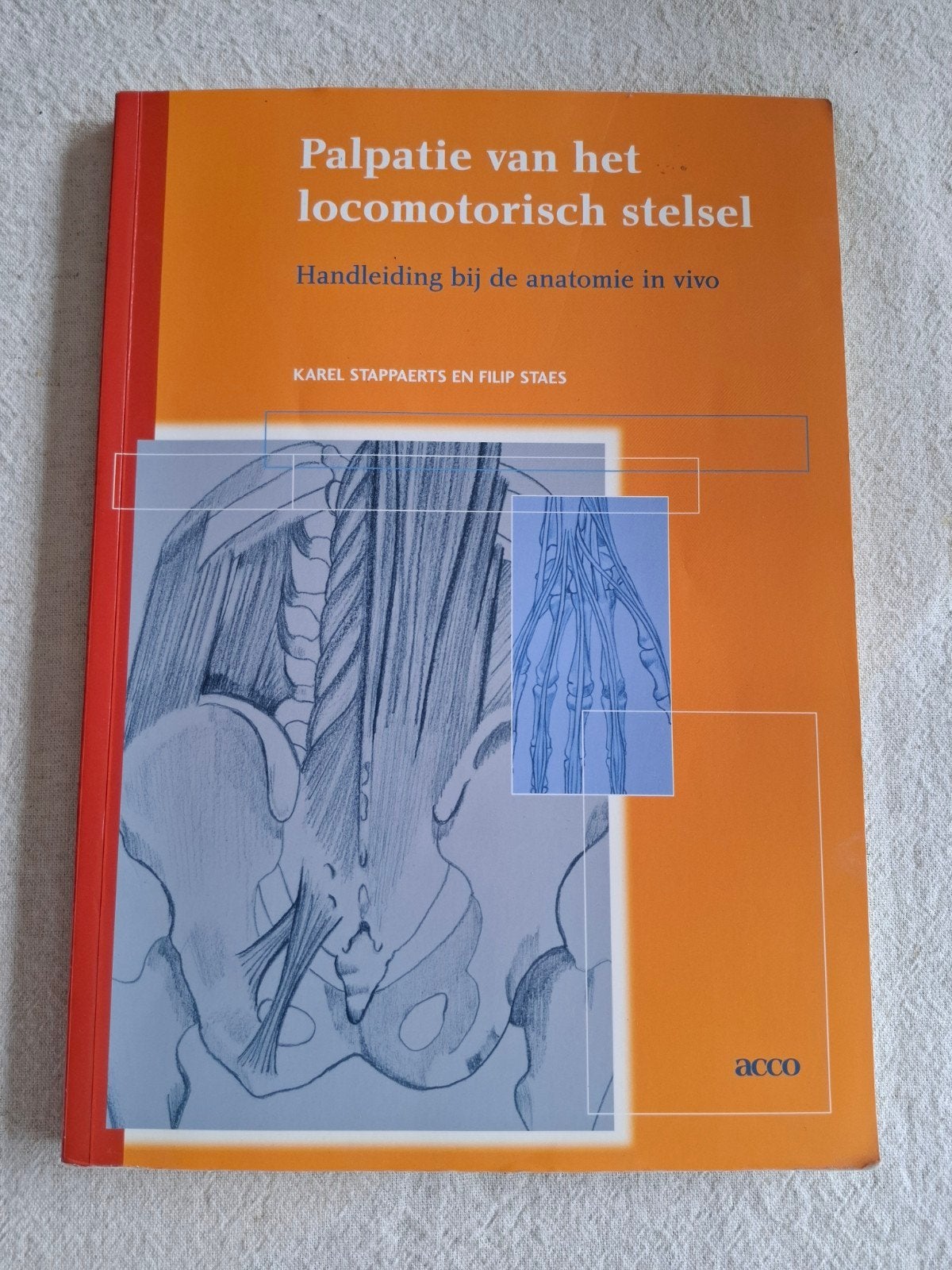 Palpatie van het locomotorisch stelsel, Ophalen of Verzenden