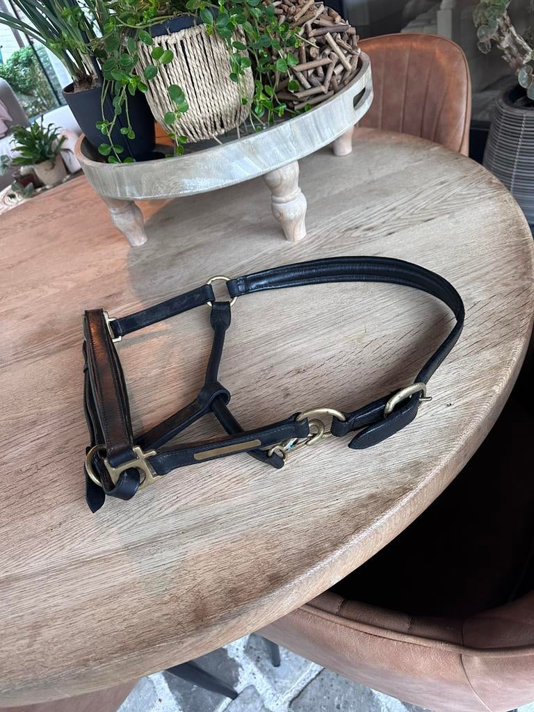 Ponyhalster leder, Ophalen, Zo goed als nieuw