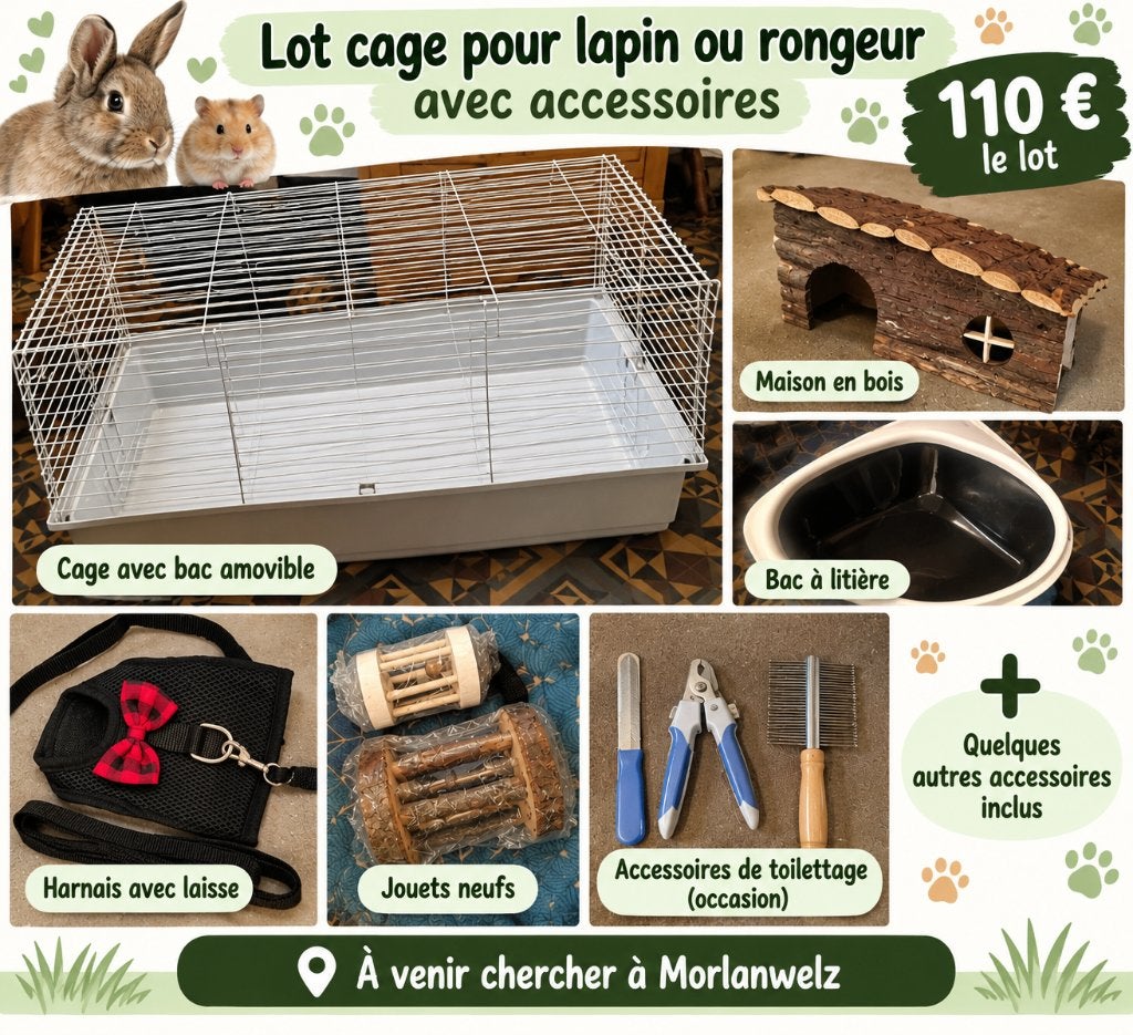 Lot cage et accessoires lapin, Animaux & Accessoires, Cobaye, Moins de 60 cm, 75 à 110 cm, Cage