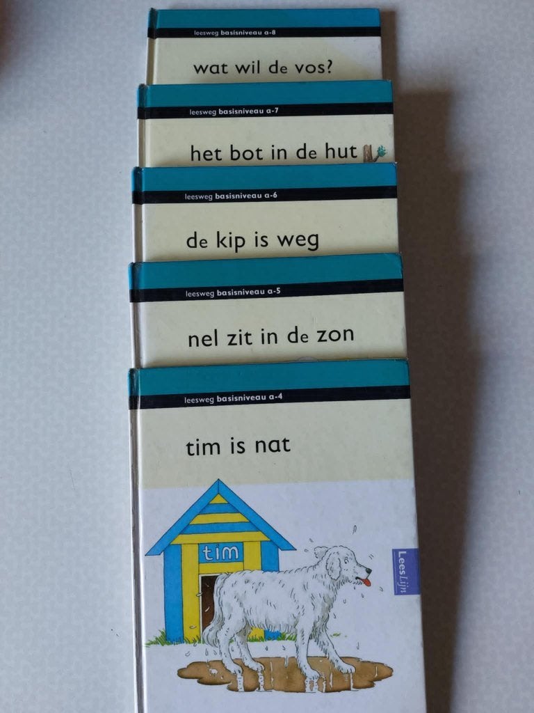 Basisniveau lezen kinderen A -4 tot A-8 en B-3 tot, Boeken, Advies, Hulp en Training, Ophalen, Zo goed als nieuw