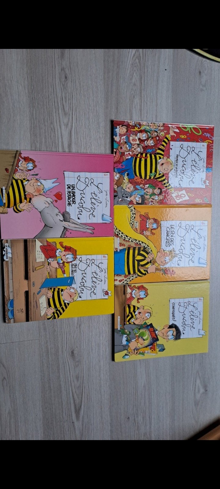 Lot de bd L'élève Ducobu, Livres, Enlèvement