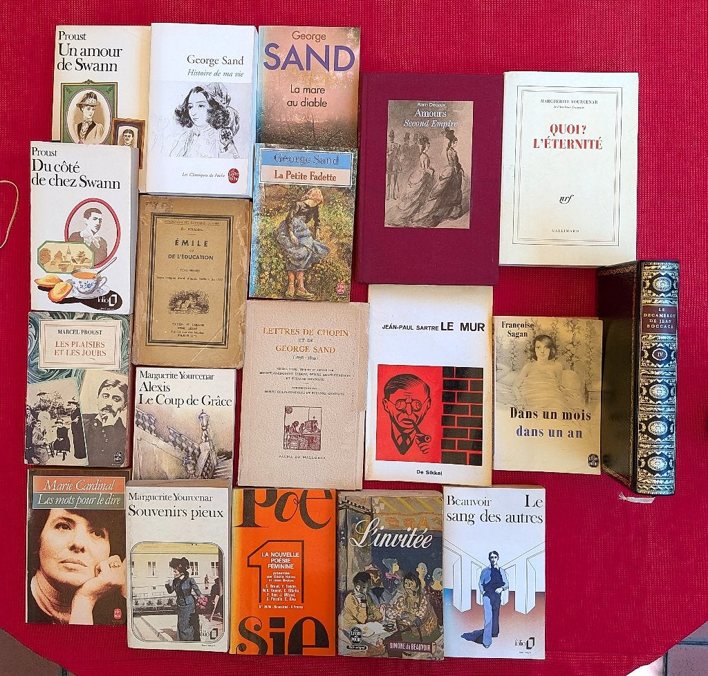 Franse literatuur, als lot (voor slechts € 7,00) of apart, Boeken, Ophalen of Verzenden, Gelezen