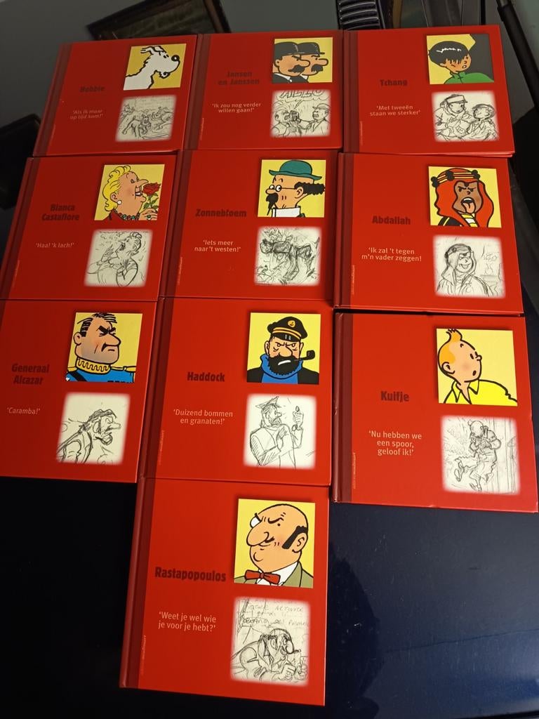 Kuifje, Boeken, Ophalen of Verzenden
