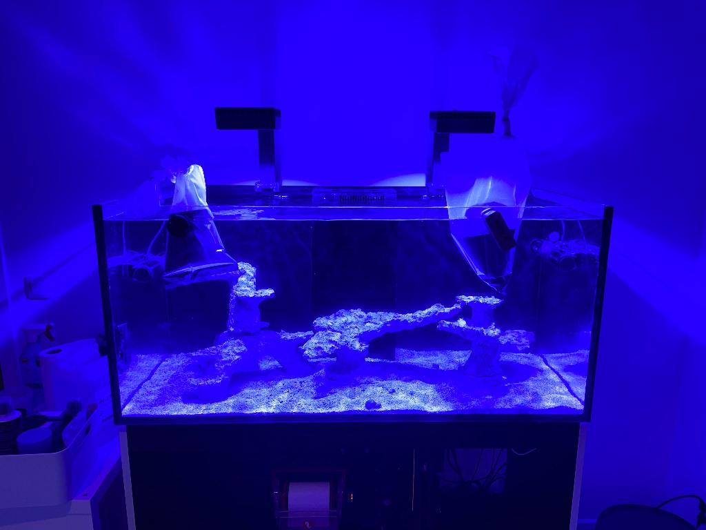 2X Red Sea reeled 90, Dieren en Toebehoren, Ophalen, Red Sea, Gebruikt, Verlichting of Verwarming