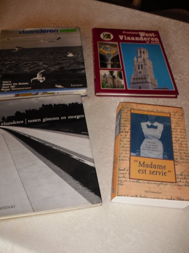 BOEKEN, Ophalen of Verzenden, Zo goed als nieuw