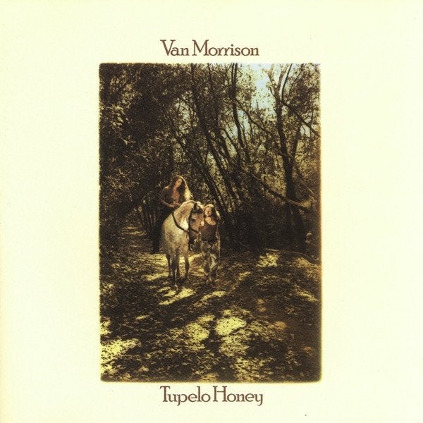 VAN MORRISON « TUPELO HONEY », CD & DVD, CD | Jazz & Blues, Utilisé, Blues, 1960 à 1980, Enlèvement