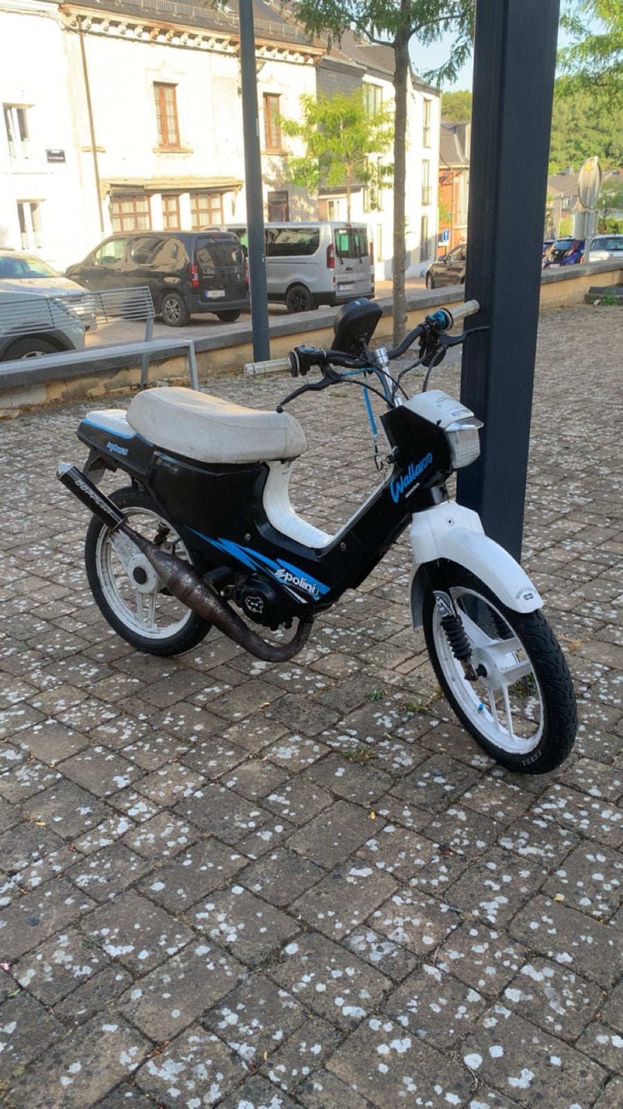 2x hond wallaroo, Autres modèles, Enlèvement, Utilisé, Classe A (25 km/h)