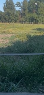 Places disponibles dans une petite écurie familiale ZEMST, Mise à l'étable, 2 ou 3 chevaux ou poneys