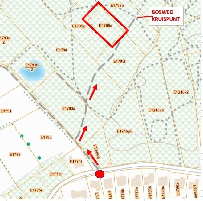 Bosgrond te BALEN / Hulsen, Balen, 1500 m² of meer