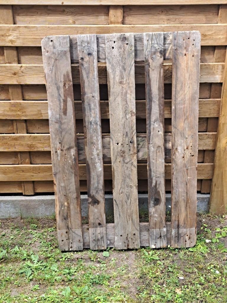 europallet, Doe-het-zelf en Bouw, Hout en Planken, Ophalen, Gebruikt, Pallet