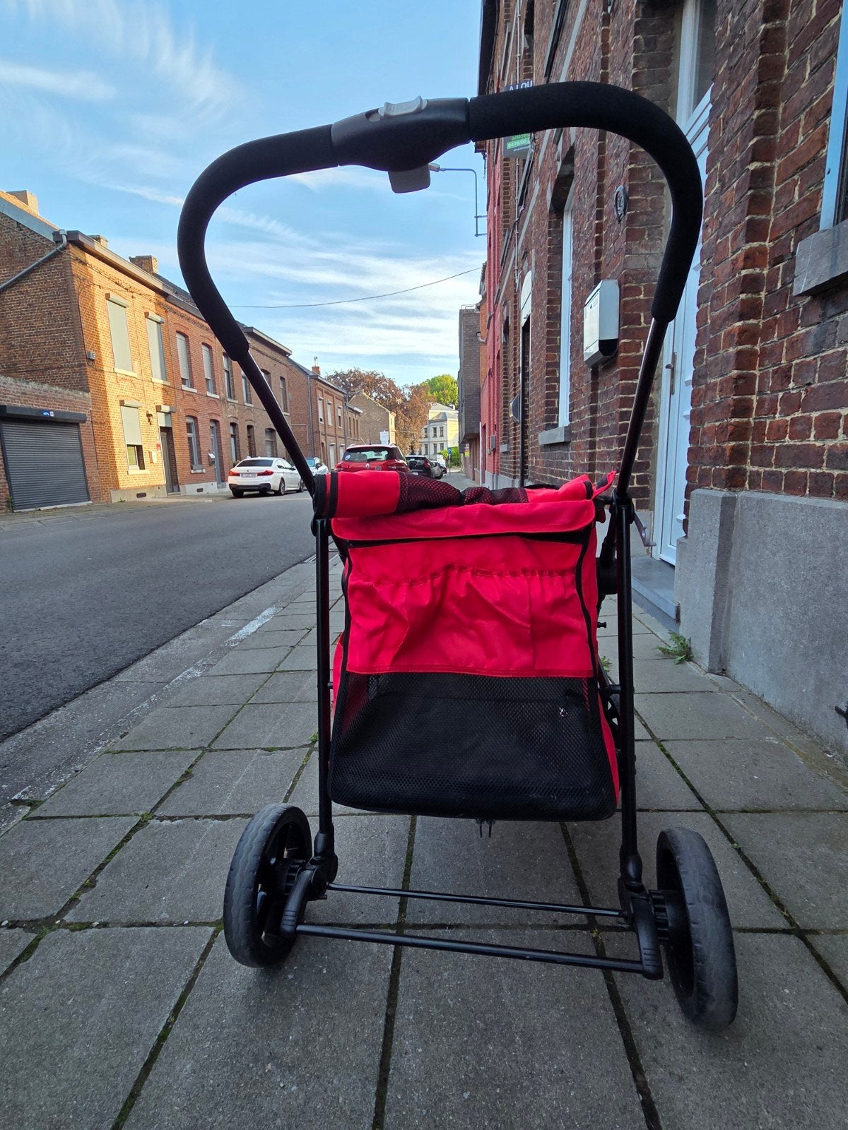 Poussette pour chien, Animaux & Accessoires, Enlèvement