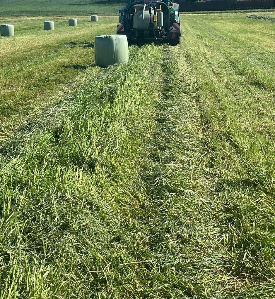 Midi balen hooi, Dieren en Toebehoren, Ophalen of Verzenden