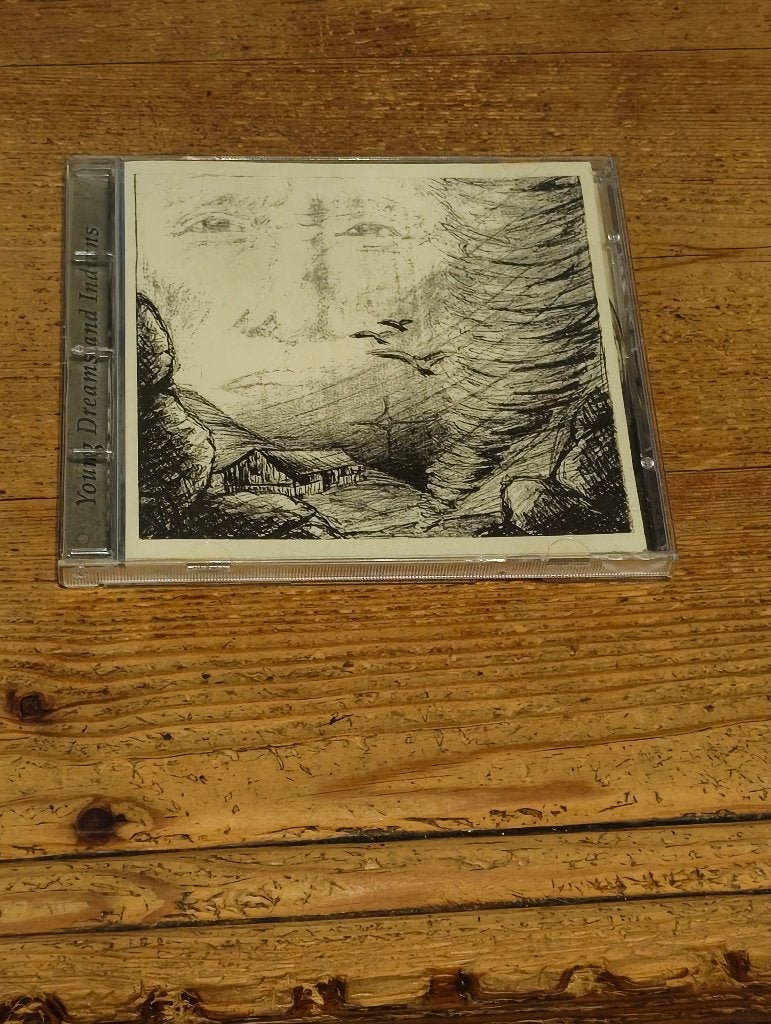 Cd van Neil Young, CD & DVD, CD | Rock, Enlèvement ou Envoi, Comme neuf, Autres genres