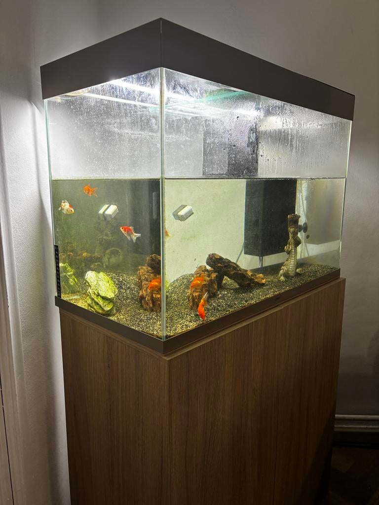 Aquarium, Dieren en Toebehoren, Ophalen, Zo goed als nieuw