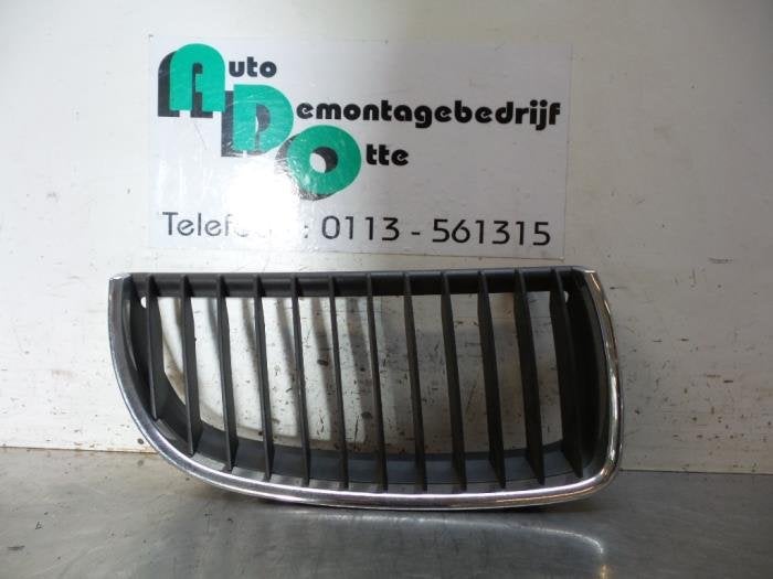 Calandre d'un BMW 3-Serie (3-Serie 04-), -, 3 mois de garantie, Utilisé, -