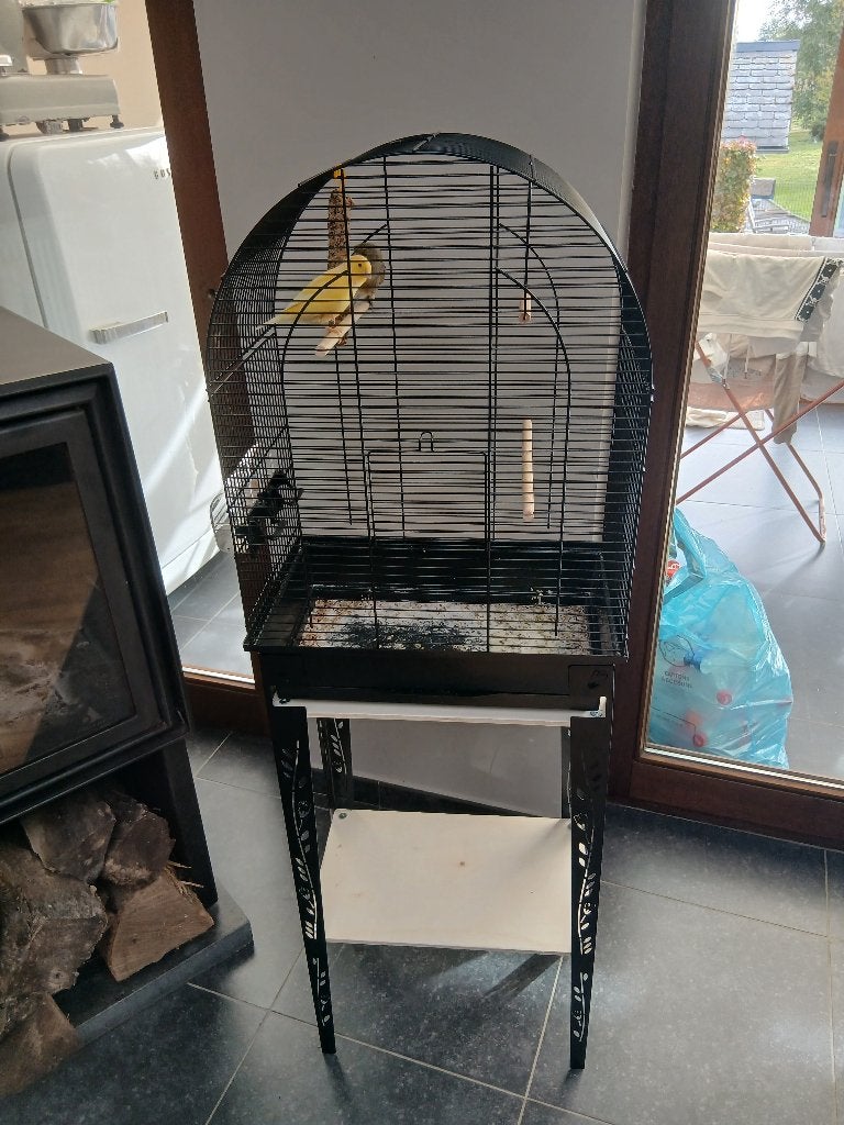 Cage avec pied +2 oiseaux, Enlèvement, Comme neuf, Cage à oiseaux