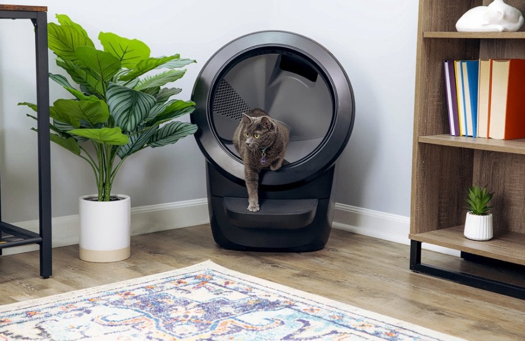 Whisker Litter-Robot 4 automatische zelfreinigende kattenbak, Dieren en Toebehoren, Ophalen, Zelfreinigend, Zo goed als nieuw