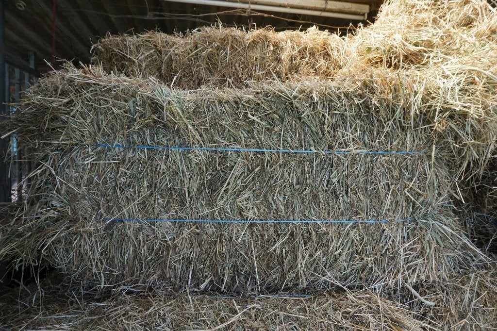 PAARD, PONY .......... HOOI zeer mooi vaste pakjes