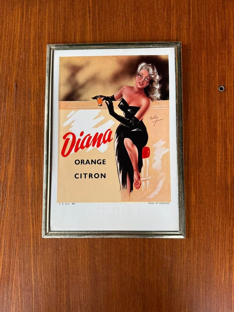 Reclamebord Diana Orange - Citron limonade, Verzamelen, Ophalen of Verzenden, Zo goed als nieuw, Reclamebord
