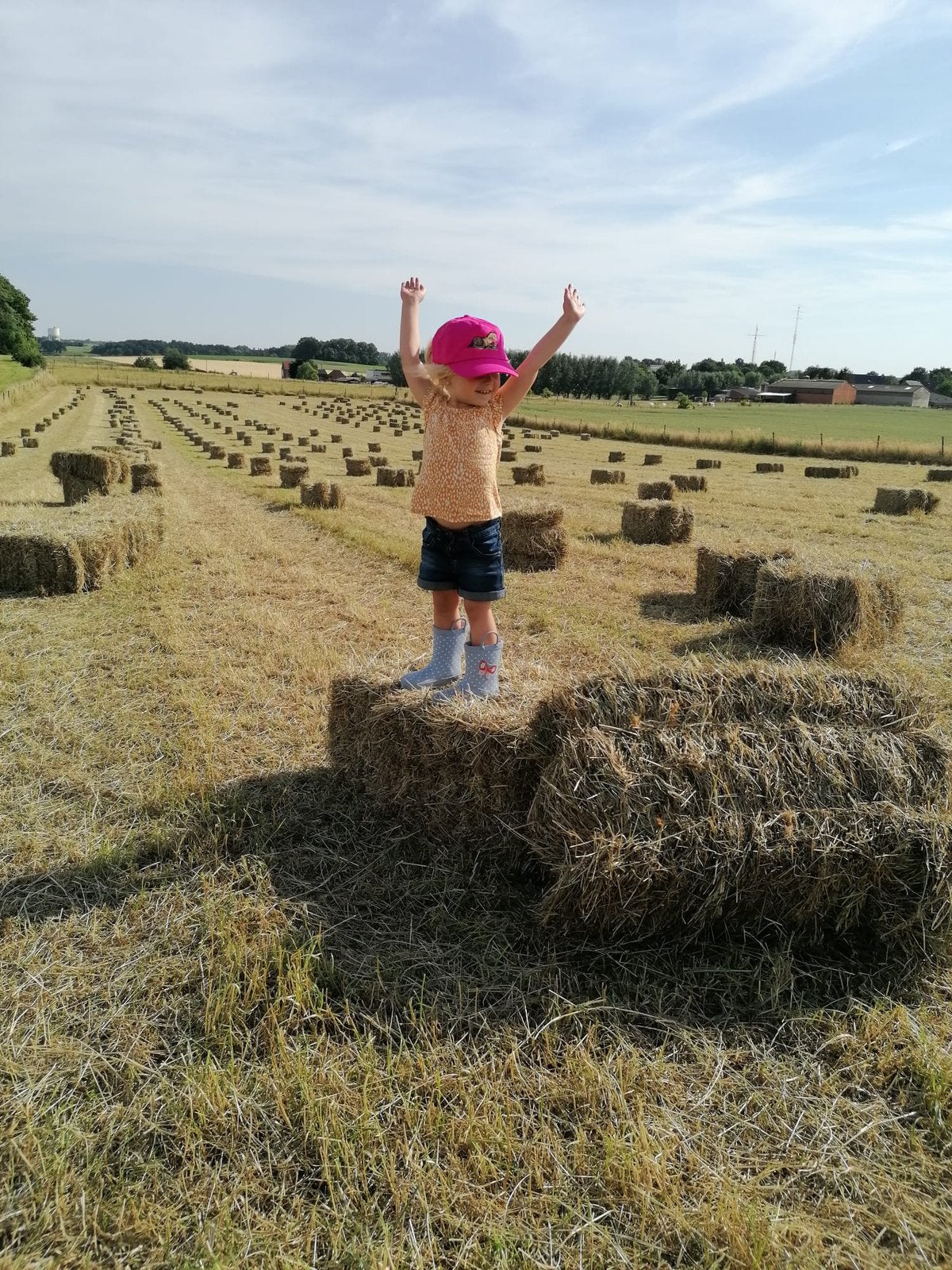 Kleine botten droog hooi, Ophalen