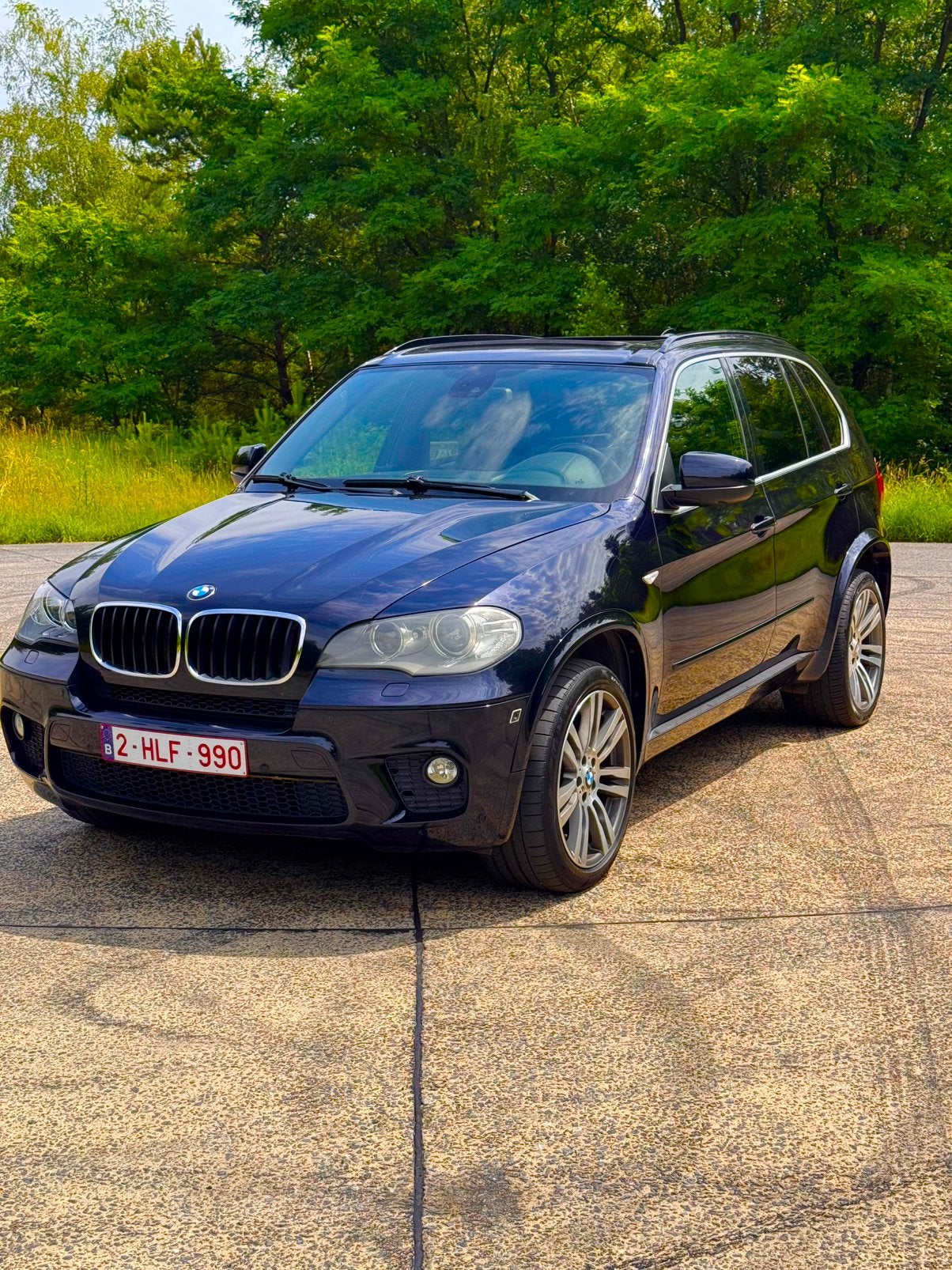 BMW X5 Xdrive40d Lichte Vracht, Auto's, Automaat, Euro 5, Bi-Xenon koplampen, Blauw