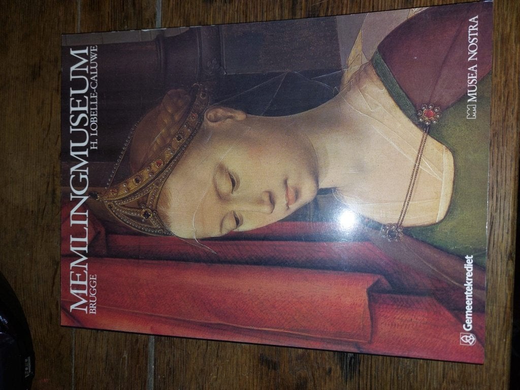 boek, memling museum Brugge, Enlèvement ou Envoi, Neuf, Autres sujets/thèmes