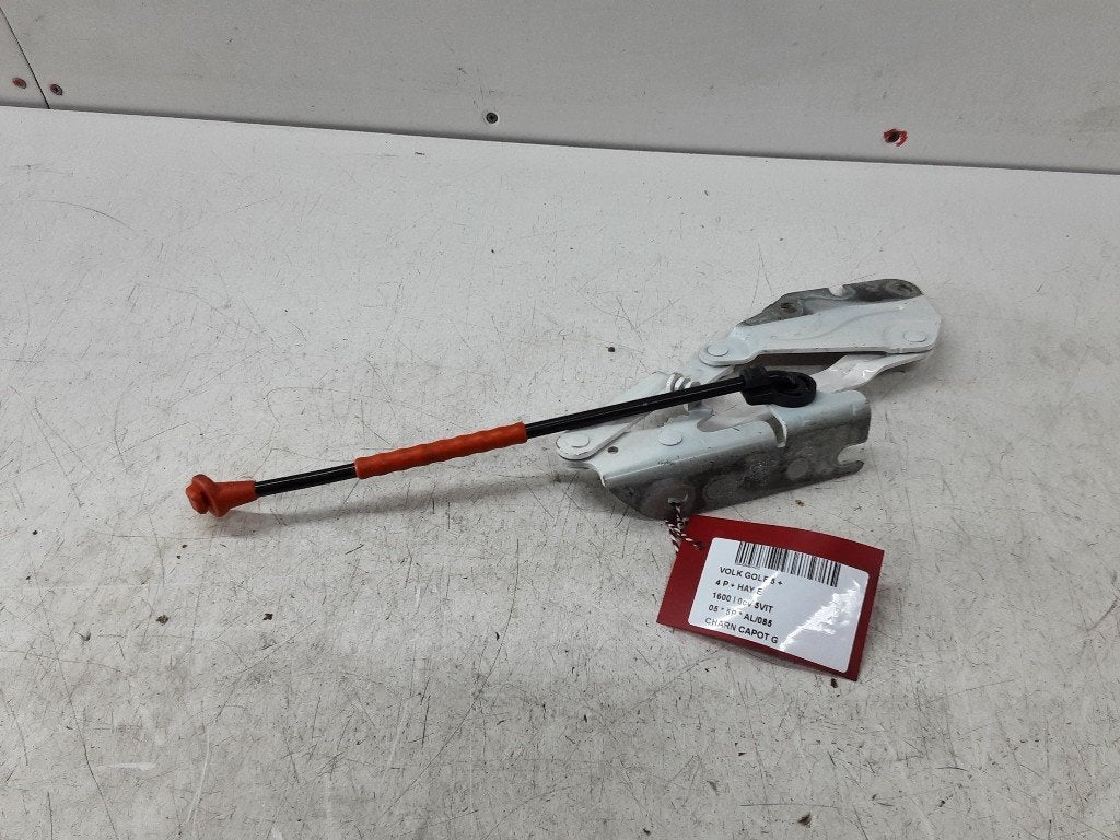 CHARNIERE DE CAPOT GAUCHE Golf V (1K1) (5MO823301), Volkswagen, Mevr. I. Hauben, Utilisé, Rue de l'Espoir 34 34
4030  GRIVEGNÉE, BE