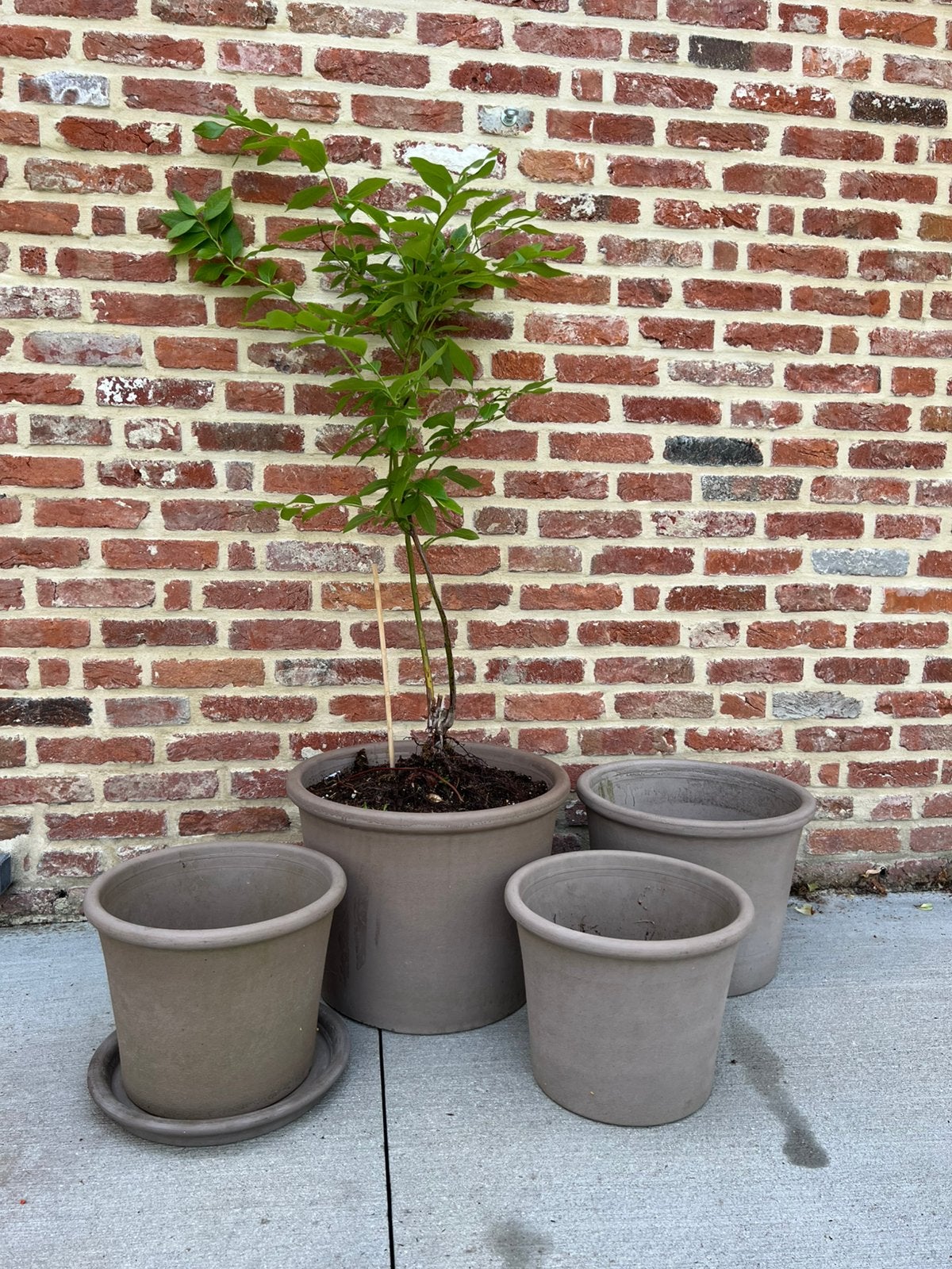 4 bloempotten + 1 onderschaal, Tuin en Terras, Ophalen