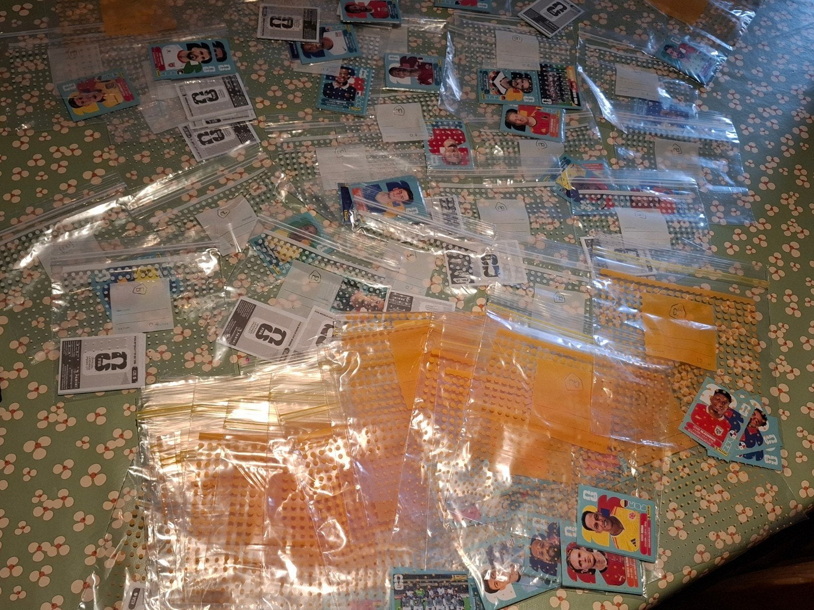 Wk panini stickers 2026 (ruilen en of kopen), Verzamelen, Ophalen of Verzenden, Nieuw, Sport