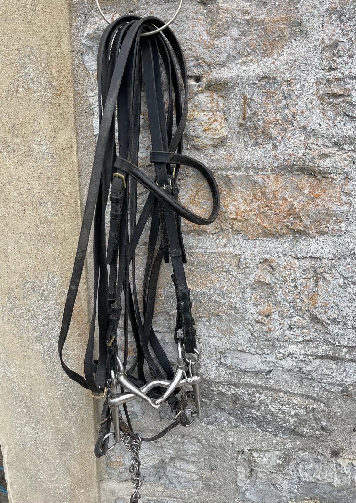 Double bridon en cuir, Noir, Dressage, Comme neuf, Poney