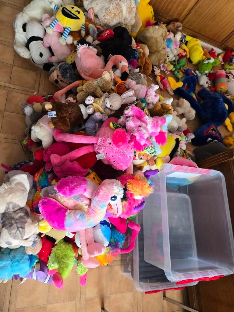 Meer dan 1000 knuffels, Ophalen