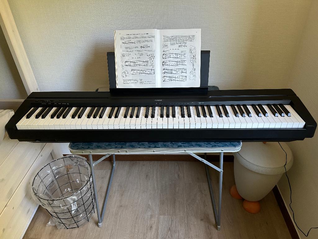 piano digitaal, Muziek en Instrumenten, Ophalen, Zwart, Digitaal, Zo goed als nieuw