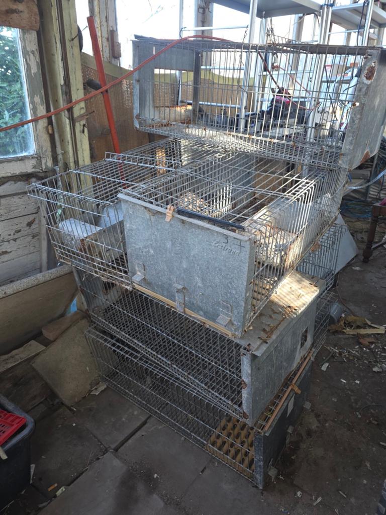 Cages à poule, Enlèvement