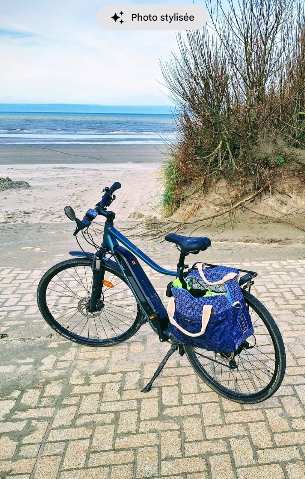 Vélo electrique, Enlèvement