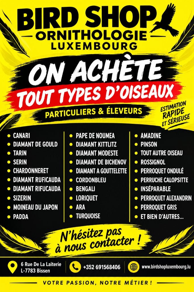 OISEAUX