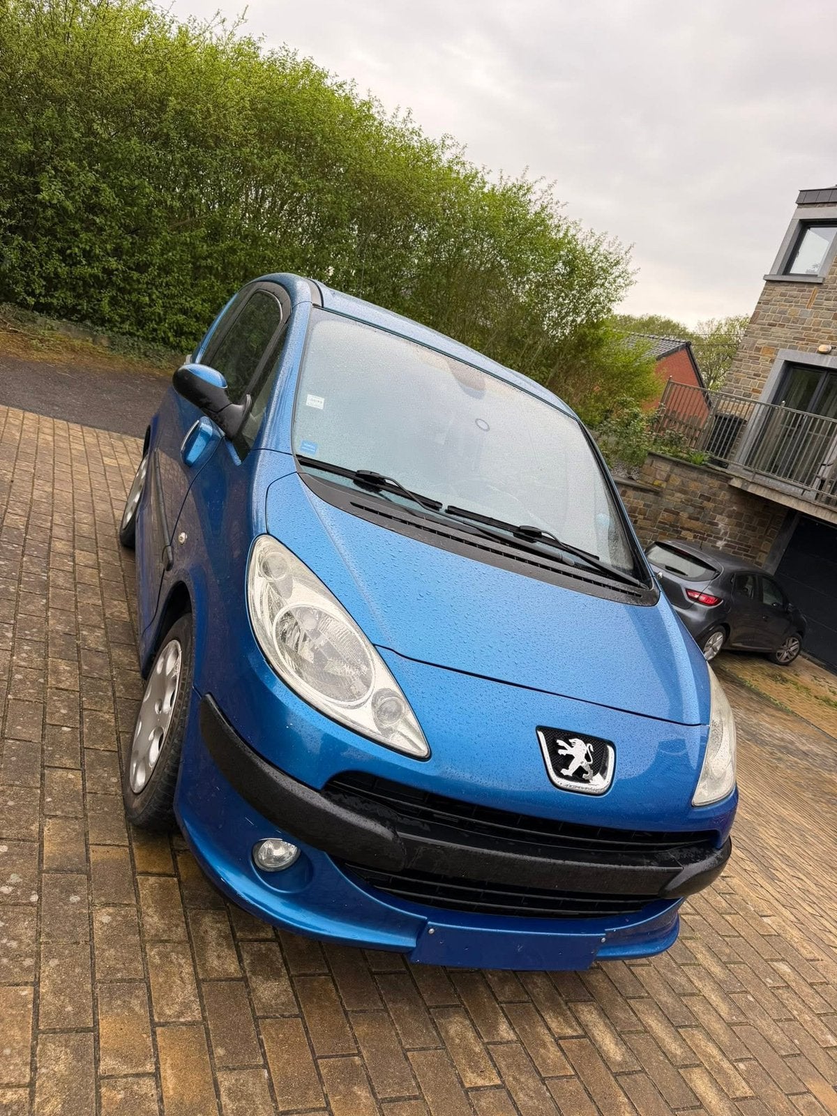 Peugeot 1007, Autos, Peugeot, Entreprise, Achat